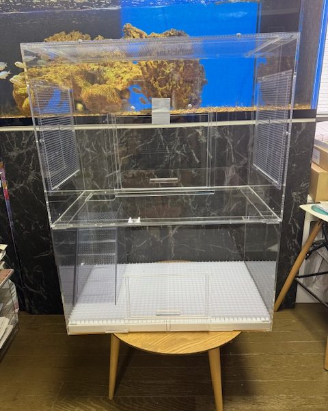 リチャードソンジリス2階建てケージ